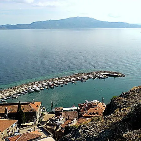 Tas 17 Assos